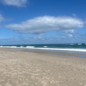 Meet your Posher, Liliana